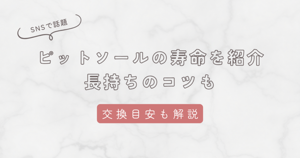 ピットソールの寿命は3ヶ月！長持ちさせるコツや交換タイミングの見分け方