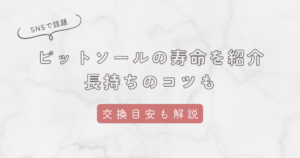 ピットソールの寿命は3ヶ月！長持ちさせるコツや交換タイミングの見分け方