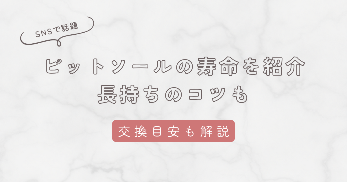 ピットソールの寿命は3ヶ月！長持ちさせるコツや交換タイミングの見分け方